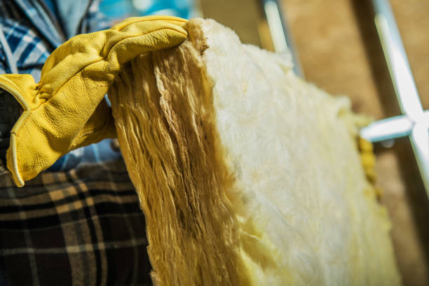Best Insulation Maintenance and Repair in Elk Grove Vlage, IL